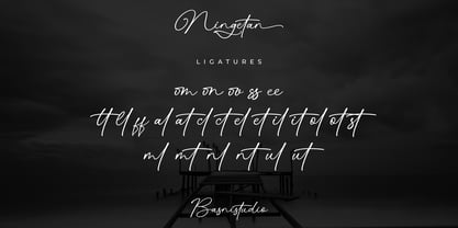 Ningetan Font Poster 12