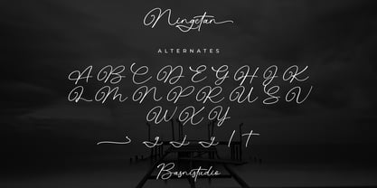 Ningetan Font Poster 13