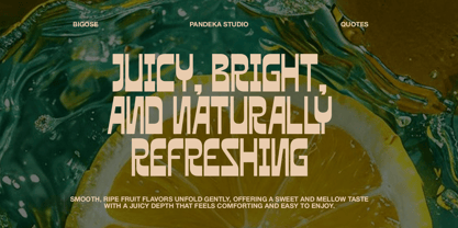 Bigose Font Poster 6