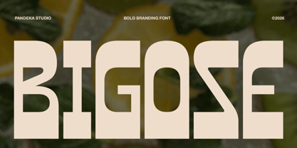 Bigose Font Poster 1