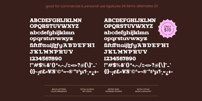 Ganttie Rought Font Poster 11