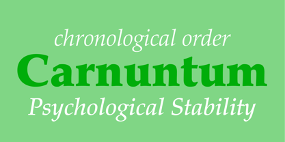 Palatino Font Poster 4