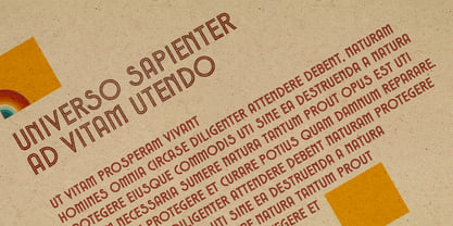 Voltdeco 1920 Font Poster 5