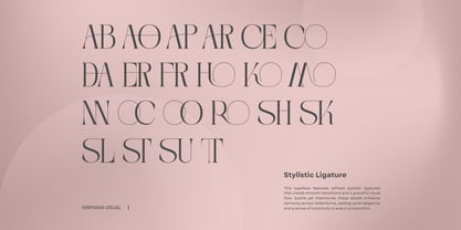 Aroba Modern Font Poster 9