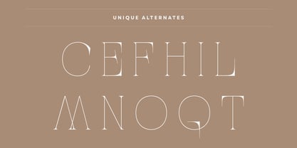 Aroba Modern Font Poster 5