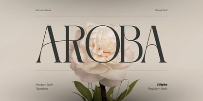 Aroba Modern Font Poster 1
