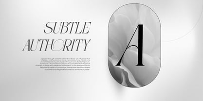 Aroba Modern Font Poster 7