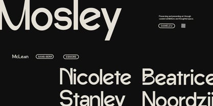DV Esmore Font Poster 7