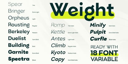 Bigota Font Poster 6