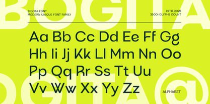 Bigota Font Poster 11