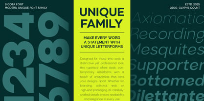 Bigota Font Poster 12
