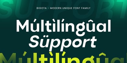 Bigota Font Poster 13