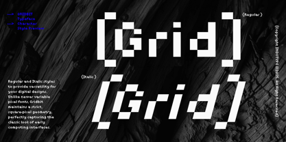 IT Gridbit Font Poster 6