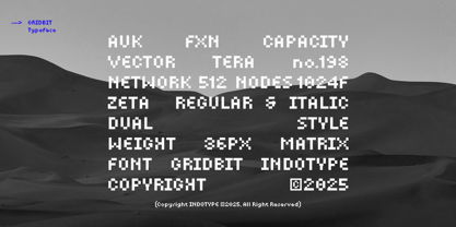 IT Gridbit Font Poster 2
