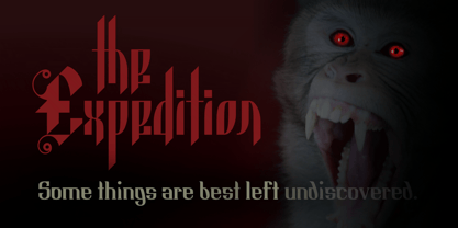 Nightshade Font Poster 11
