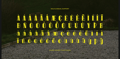 Pitolia Font Poster 11
