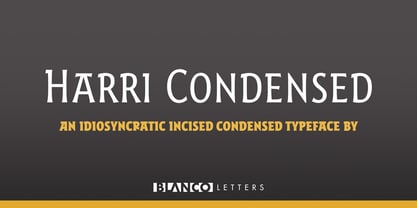 Harri Font Poster 9