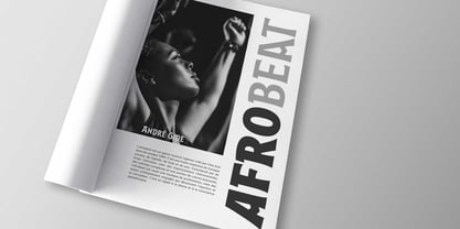 Harri Font Poster 14