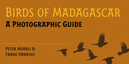 Harri Font Poster 13