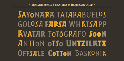Harri Font Poster 12