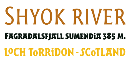 Harri Font Poster 11