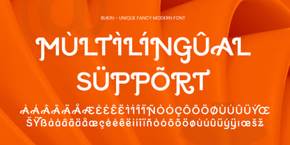 Bukin Font Poster 12