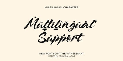 Falria Serin Font Poster 8