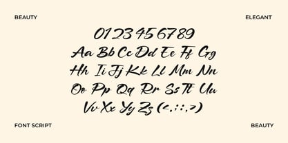 Falria Serin Font Poster 6