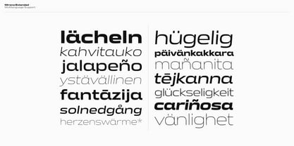 Mirano Extended Font Poster 9