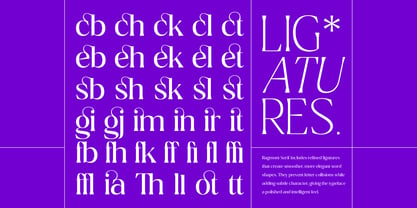 Ragmont Serif Font Poster 14