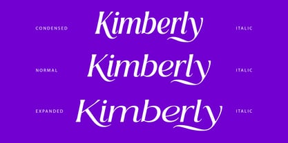 Ragmont Serif Font Poster 11