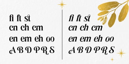 Rooris Font Poster 11