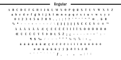 Rooris Font Poster 9