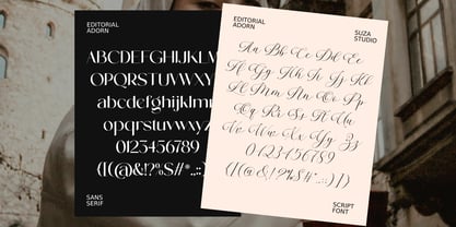 Editorial Adorn Font Poster 13