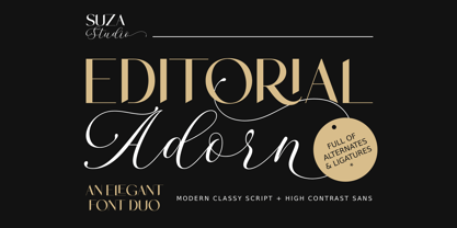 Editorial Adorn Font Poster 14