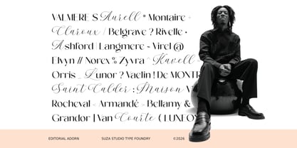 Editorial Adorn Font Poster 11