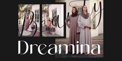 Editorial Adorn Font Poster 7