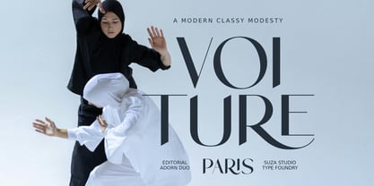 Editorial Adorn Font Poster 6