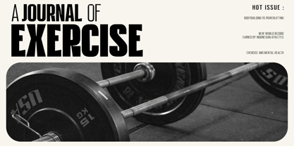 HN Neue Lifter Font Poster 8