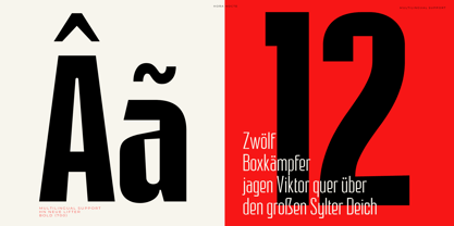 HN Neue Lifter Font Poster 9