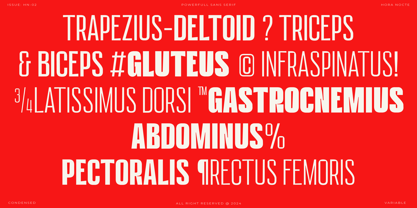HN Neue Lifter Font Poster 3