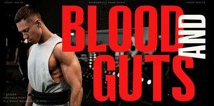 HN Neue Lifter Font Poster 10
