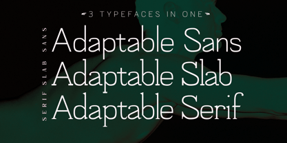 Adaptable Font Poster 2