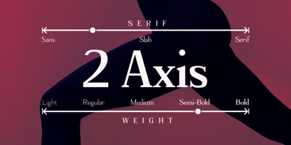 Adaptable Font Poster 5
