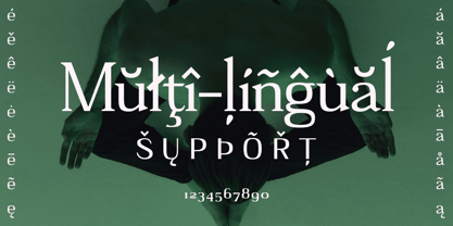 Adaptable Font Poster 6