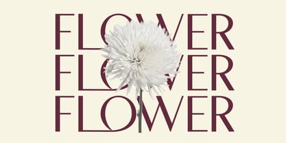 Morune Font Poster 5