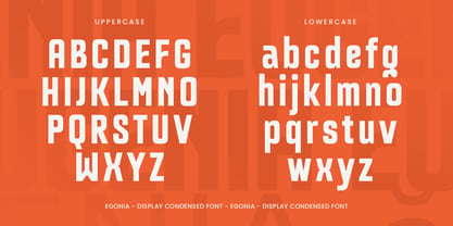 Egonia Font Poster 10