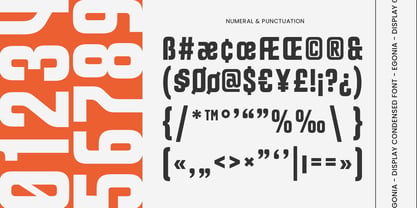 Egonia Font Poster 11