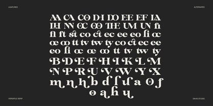 Ruciness Font Poster 6