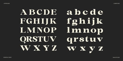 Ruciness Font Poster 8